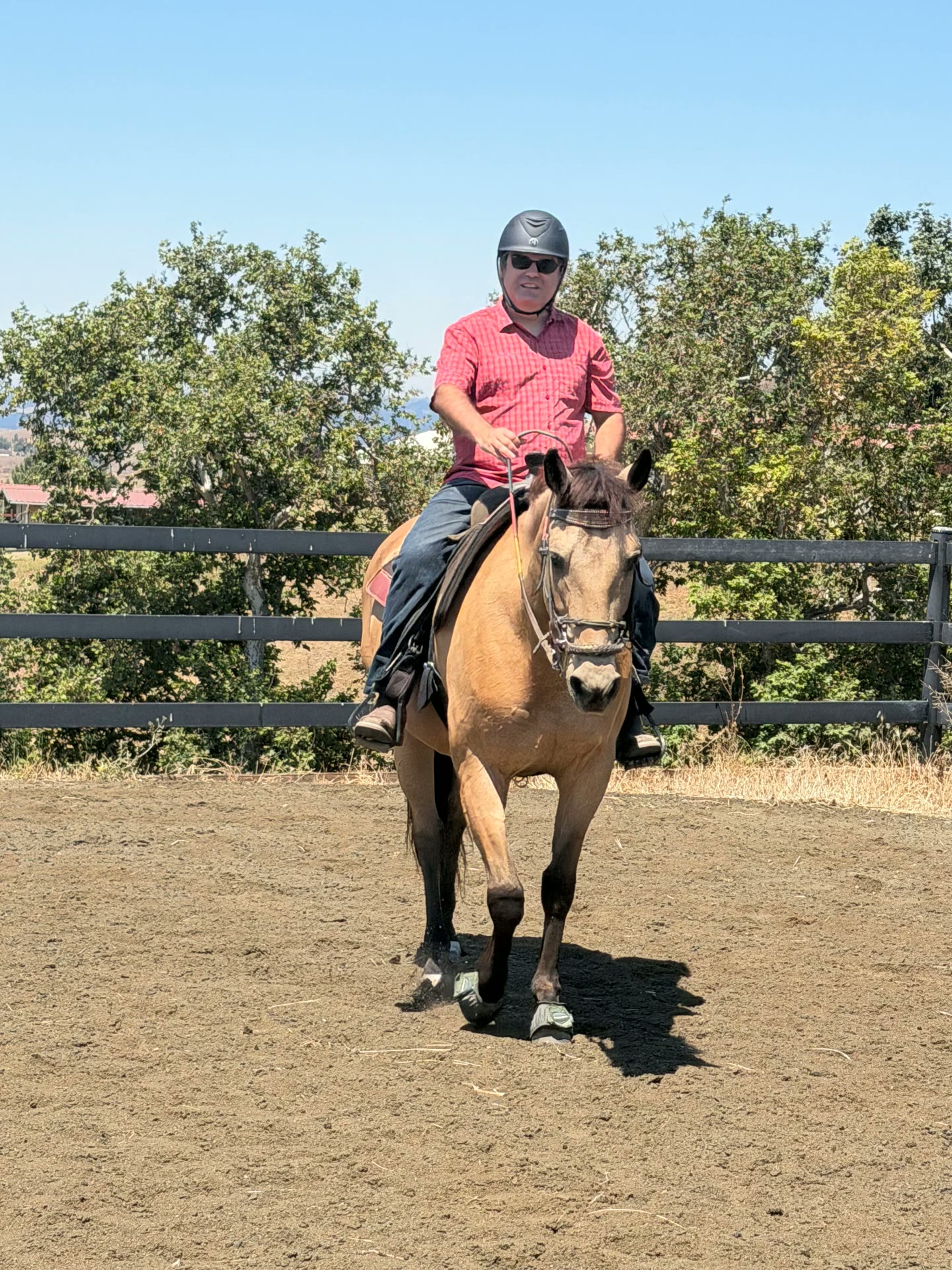 Rider on horseback in an outdoor arena at All Seasons Horse Riding